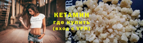 прущие грибы Осинники