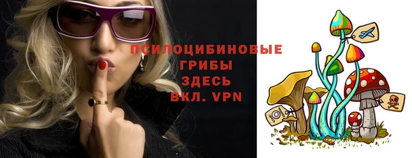 прущие грибы Осинники