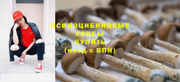 эйфоретик Няндома