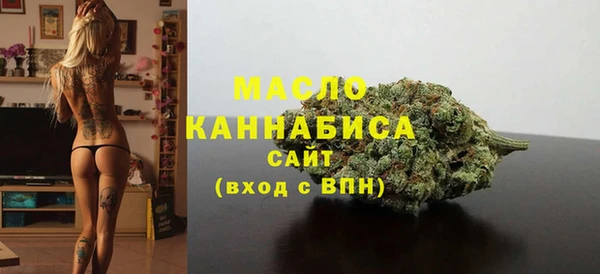 эйфоретик Няндома