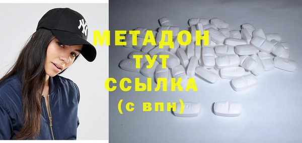 прущие грибы Осинники
