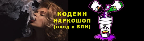 эйфоретик Няндома