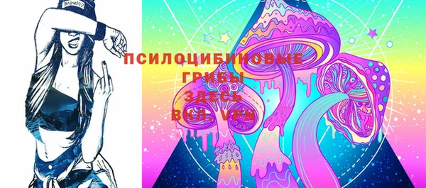 сатива Осташков