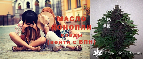 эйфоретик Няндома