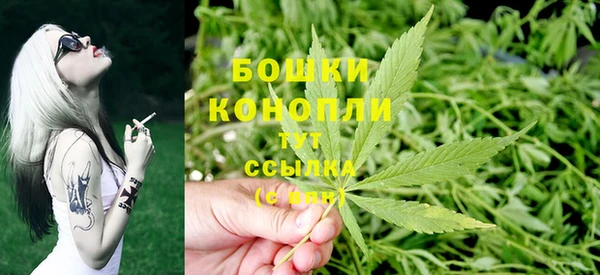 эйфоретик Няндома